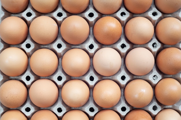 Photo hen eggs in a tray close up shot with top view.