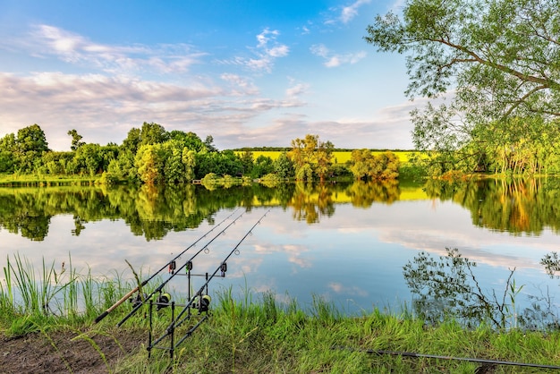 Hengels voor het vissen op karper op de rivier bij zonsopgang in de zomer