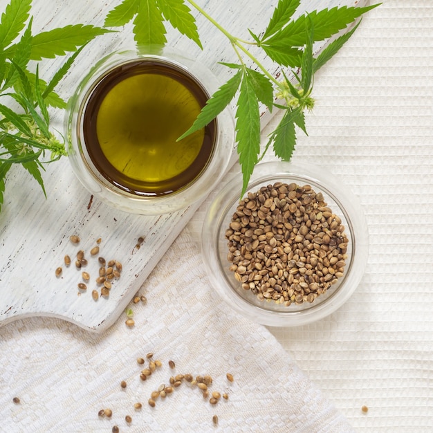 Hennep producten concept. Zaden, cannabisolie en groene plant op witte, zelfgesponnen doek