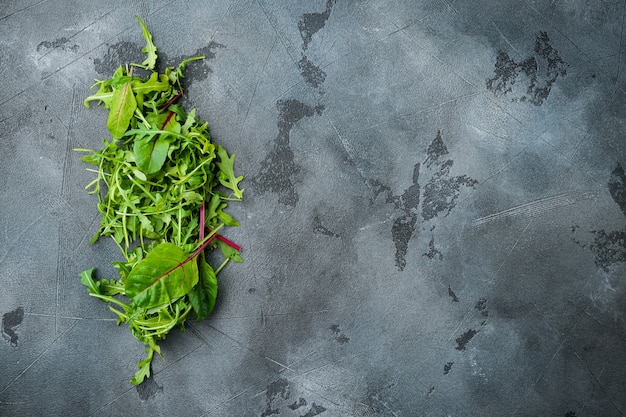 Herb green salad with arugula and Mangold, Swiss chard set, on gray stone background, top view flat lay, with copy space for text