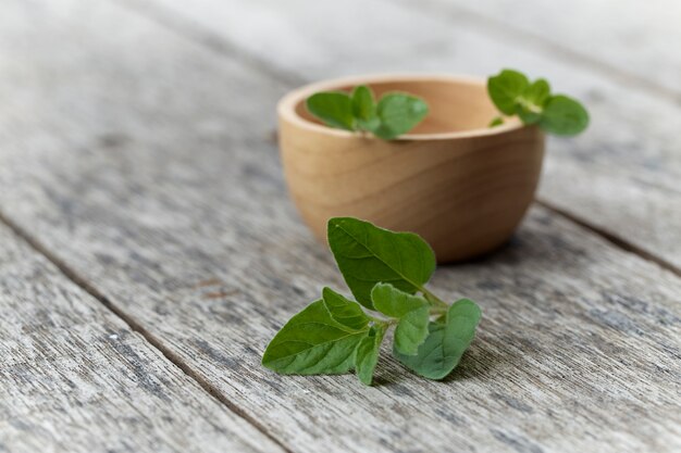 Фото herb oregano в миске на деревенском деревянном