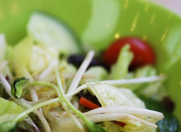 Photo herb salad ( thai food)