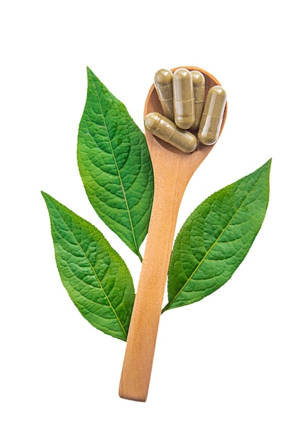 Herb supplement capsules on green leaf isolate on white background Selective focus