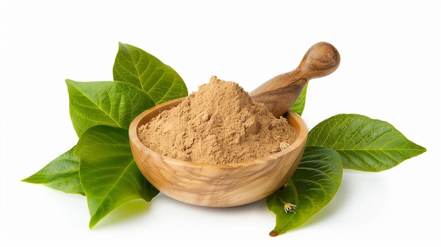 herbal damiana powder isolated on a white background