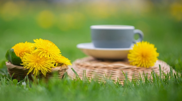 Herbal Dandelion tea