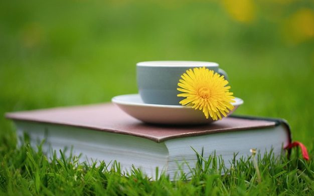 Herbal Dandelion tea