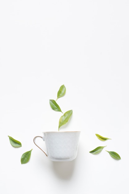 Herbal green lemon leaves over the tea cup against white background