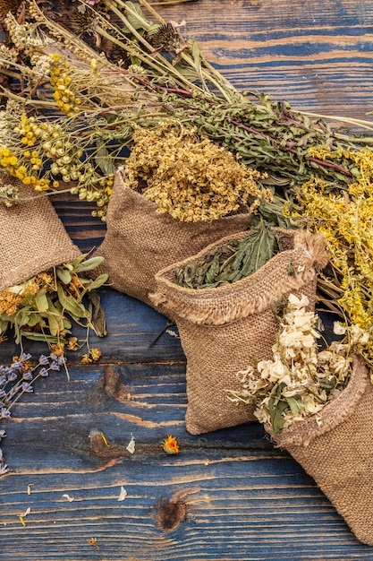 Фото Сбор трав и букетов из диких трав. нетрадиционная медицина. натуральная аптека, концепция самообслуживания