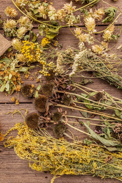herbal harvest collection and bouquets of wild herbs. alternative medicine. natural pharmacy, self-care concept