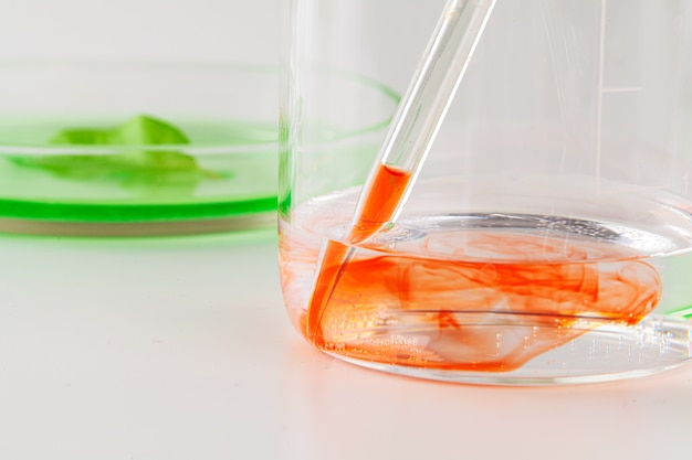 Herbal leaf in Petri dish, laboratory research close up