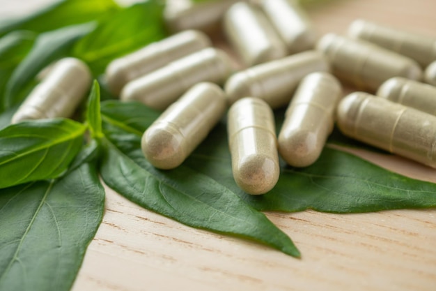 Herbal medicine capsules with Andrographis paniculata leaf on wood table