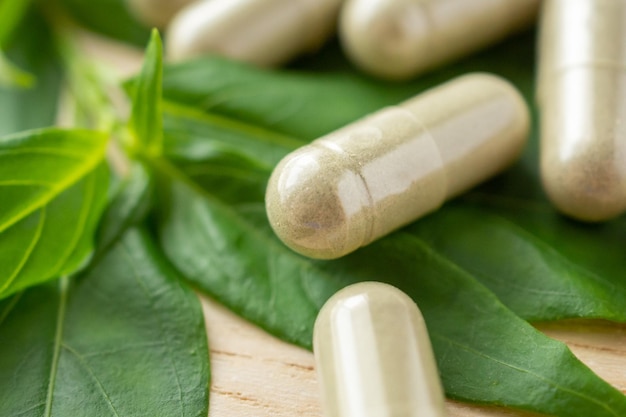 Herbal medicine capsules with Andrographis paniculata leaf on wood table