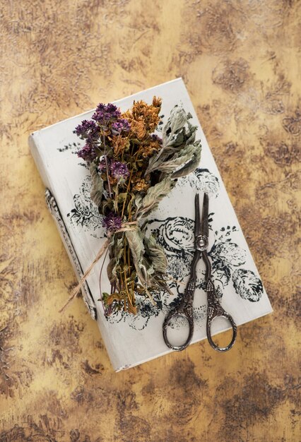 Herbal medicine concept. Dried healing herbs, scissors and book, flat lay