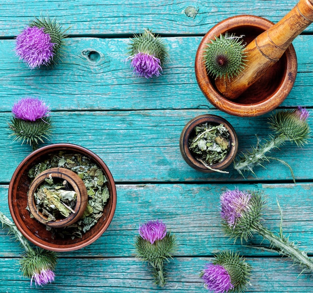 Herbal medicine and homeopathy
