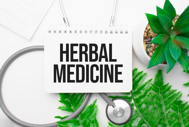 Herbal medicine word on notebook,stethoscope and green plant