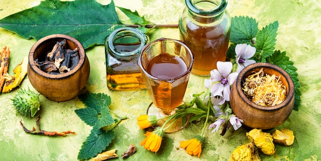 Foto medicina naturopatica a base di erbe