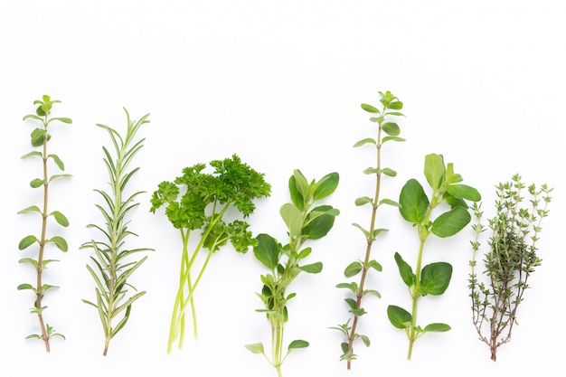 Herbal spice on a white table