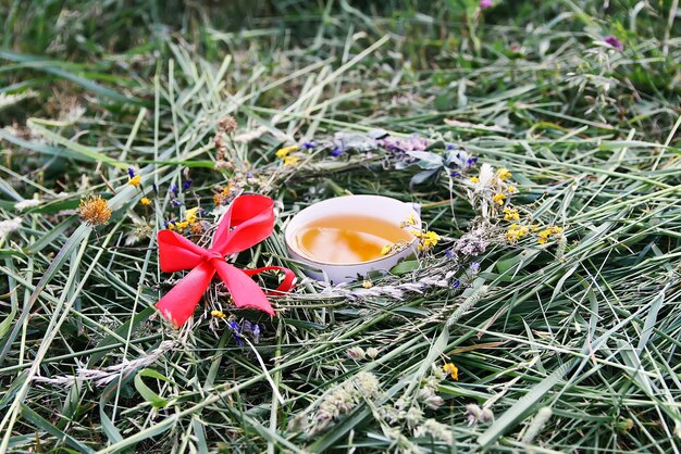 Herbal tea of medical plants in a cup outdoors on mown green grass.