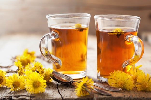 Herbal tea with coltsfoot flowers