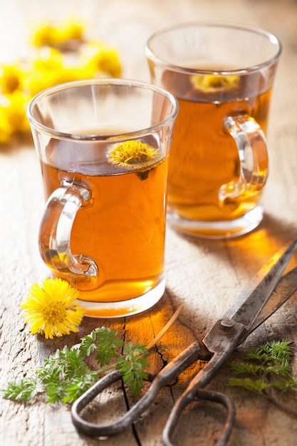 Herbal tea with coltsfoot flowers