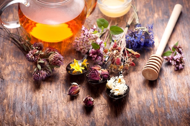 Tisana con miele erbe e fiori erboristeria