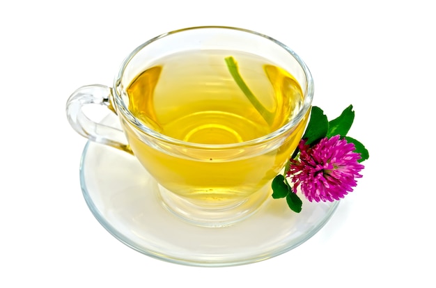 Herbal tea with a one clover in a glass bowl isolated on white background