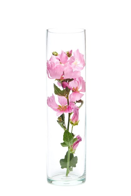 Herbal wildflowers in a glass flask