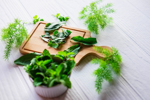 Herbs Culantro and mint herbs on a wooden cutting board