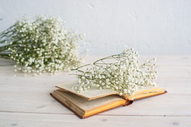 Herbs and gipsofila on wooden table with book