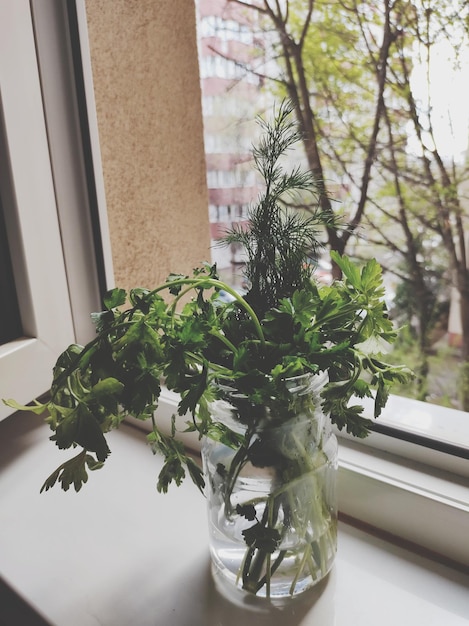Травы в кувшине на подоконнике