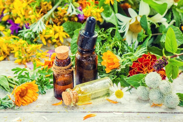 Herbs in a mortar medicinal plants selective focus