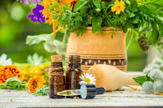 Photo herbs in a mortar medicinal plants selective focus