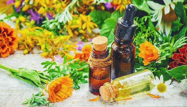 Photo herbs in a mortar medicinal plants selective focus