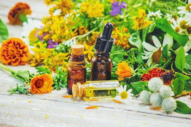 Herbs in a mortar Medicinal plants Selective focus