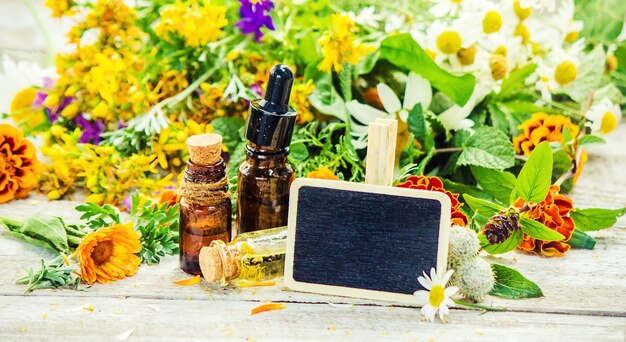 Herbs in a mortar Medicinal plants Selective focus