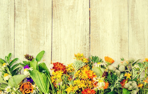 Photo herbs in a mortar medicinal plants selective focus