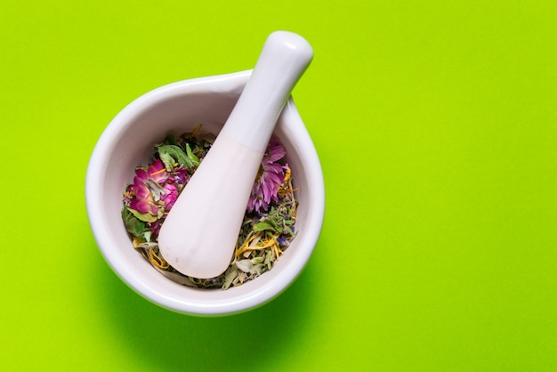 Herbs in porcelain mortar on colorful table