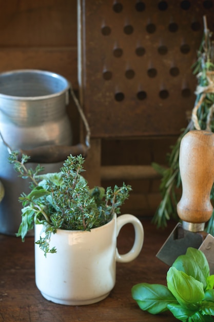 Herbs and young sweet peas