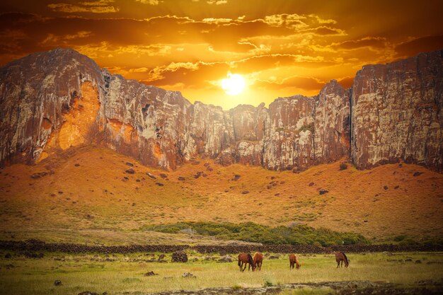 Herd of Horses in the plain