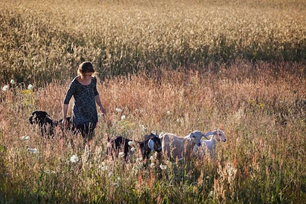 Herder met haar geiten en haar hond in de wei