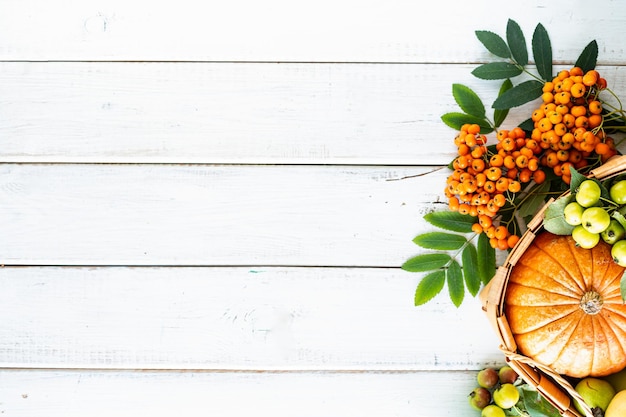 Herfst achtergrond Appels pompoen appels van het paradijs rowan op een witte houten achtergrond Oogsten Bovenaanzicht Kopieer ruimte