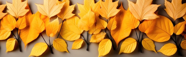 Foto herfst achtergrond banner met kleurrijke vallende bladeren