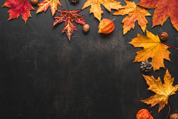 Herfst achtergrond gemaakt van herfstbladeren, bloemen, noten en dennenappels