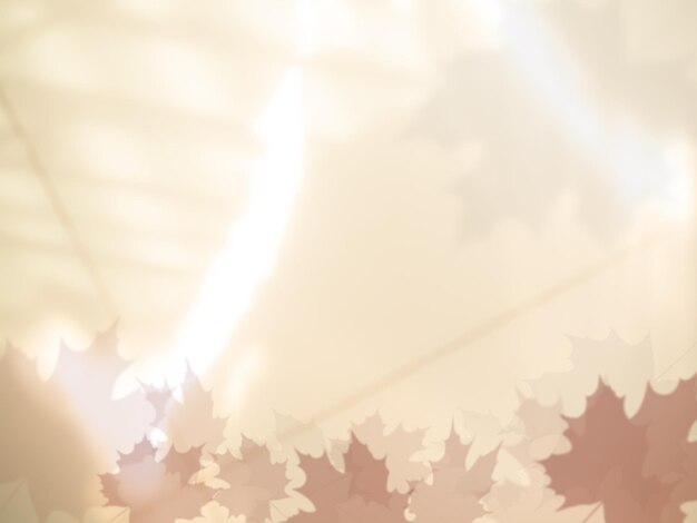 Foto herfst achtergrond herfst esdoorn laat schaduw op het frame product cosmetische schoonheid