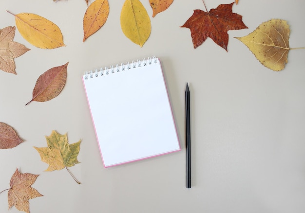 Herfst achtergrond met ambachtelijke notebook mock up