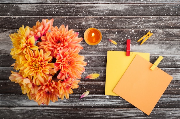 Herfst achtergrond met chrysant