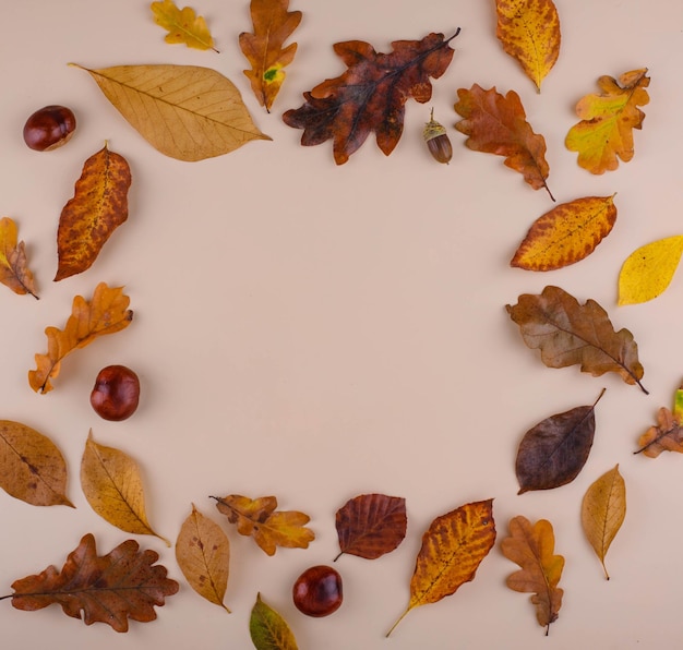 Herfst achtergrond met droge bladeren