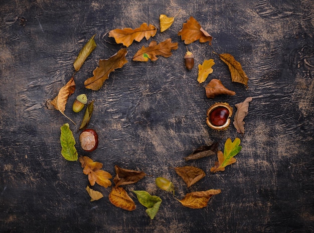 Herfst achtergrond met droge bladeren