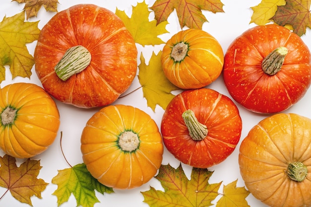 Herfst achtergrond met esdoorn bladeren en rijpe pompoenen. Lay-out voor seizoensaanbiedingen en kerstkaarten, bovenaanzicht.