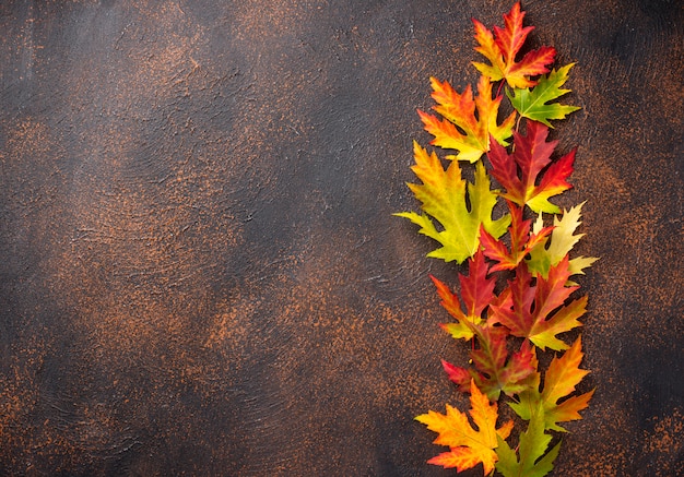 Herfst achtergrond met esdoorn bladeren